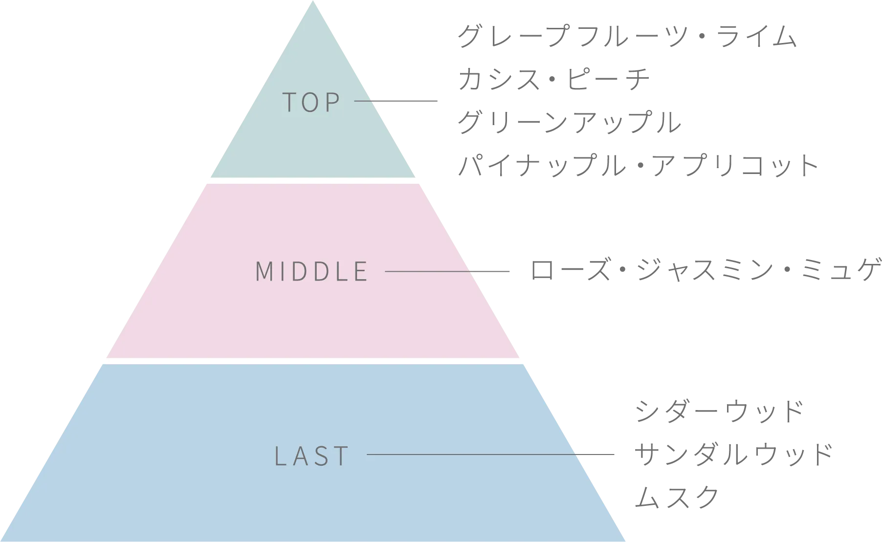 TOP グレープフルーツ・ライム・カシス・ピーチ・グリーンアップル・パイナップル・アプリコット。MIDDLE ローズ・ジャスミン・ミュゲ LAST シダーウッド・サンダルウッド・ムスク